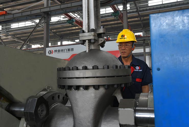 BOYE VALVE GROUP CO., LTD.